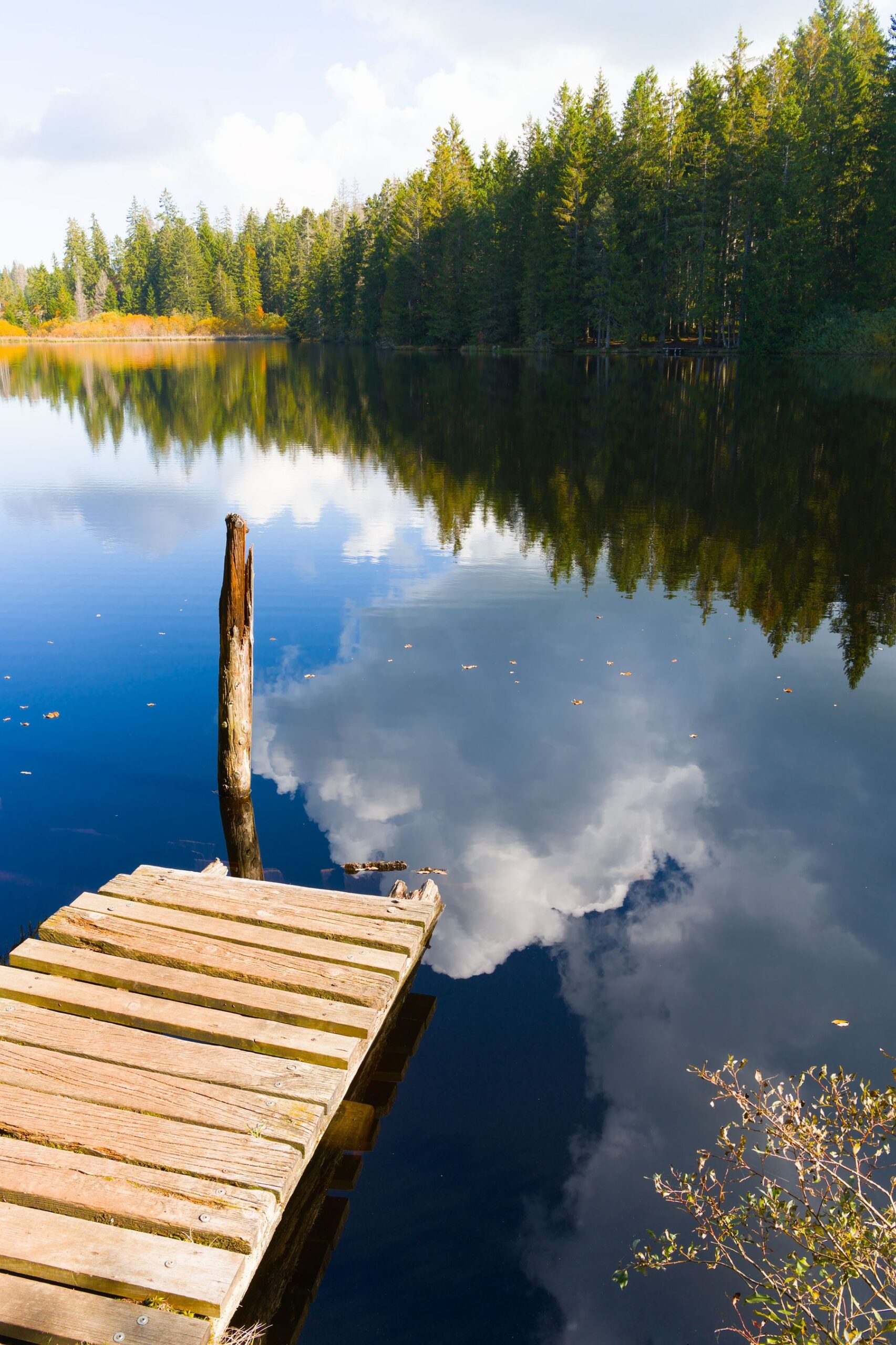 Ponton de bois et nuages reflétés dans l'étang de la Gruère
